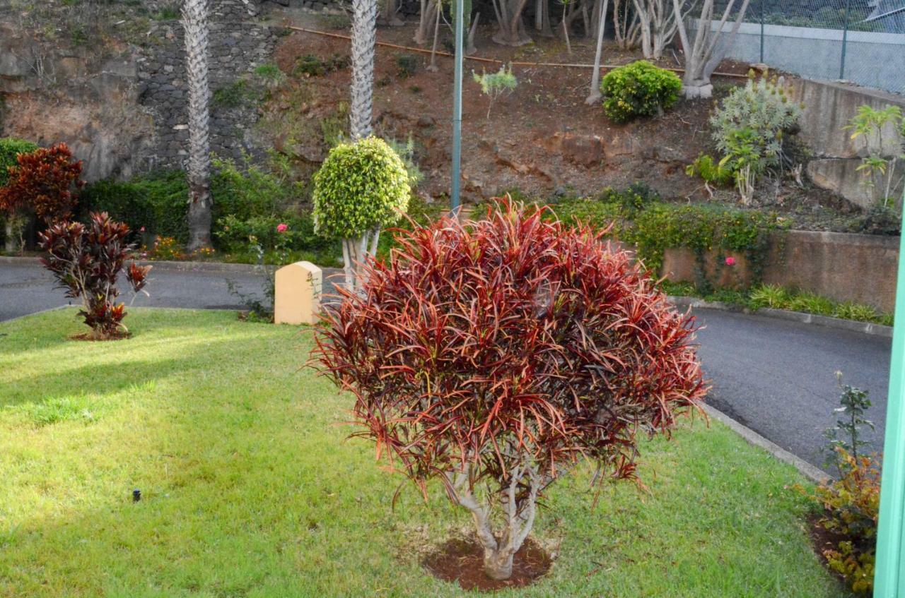 Vista Formosa Funchal Apartment Luaran gambar